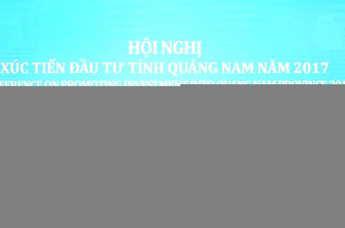 Thủ tướng kêu gọi “sếu lớn” đến Quảng Nam - ảnh 4